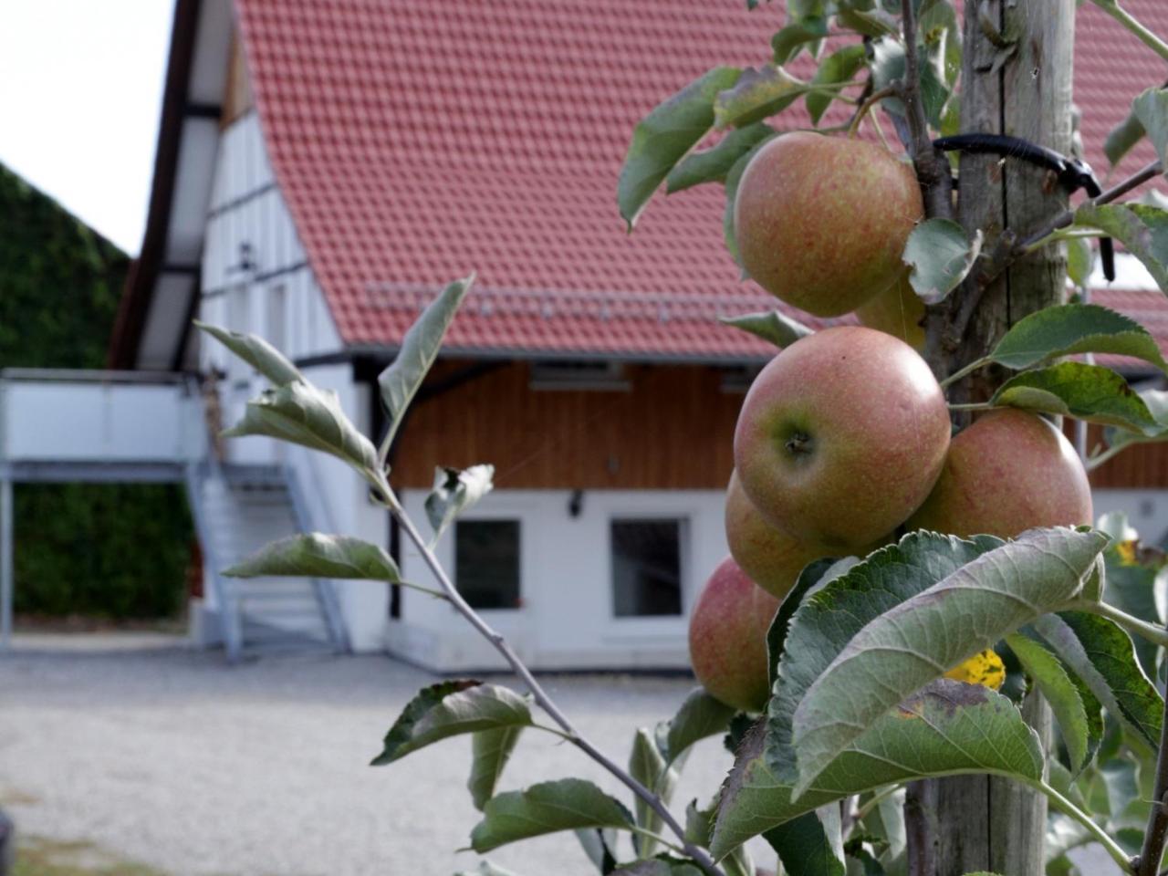 Ferienhof Waggershauser Friedrichshafen Exterior photo